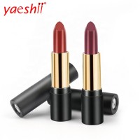 Yaeshii 30 Colors Private Label Lipstick Waterproof Lipstick Matte Liquid Moisturizer Lip Gloss